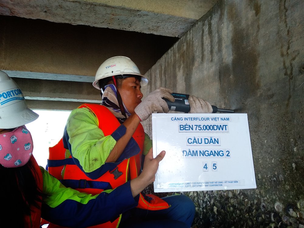 Inspection and verification of structure Upgrading of Interflour port