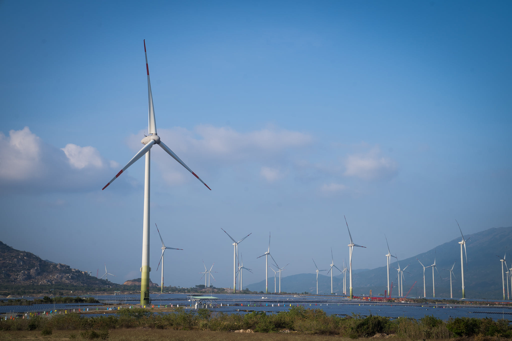 The inauguration of Trungnam Wind Farm with its capacity reaches 151,95 MW invested by Trungnam Group