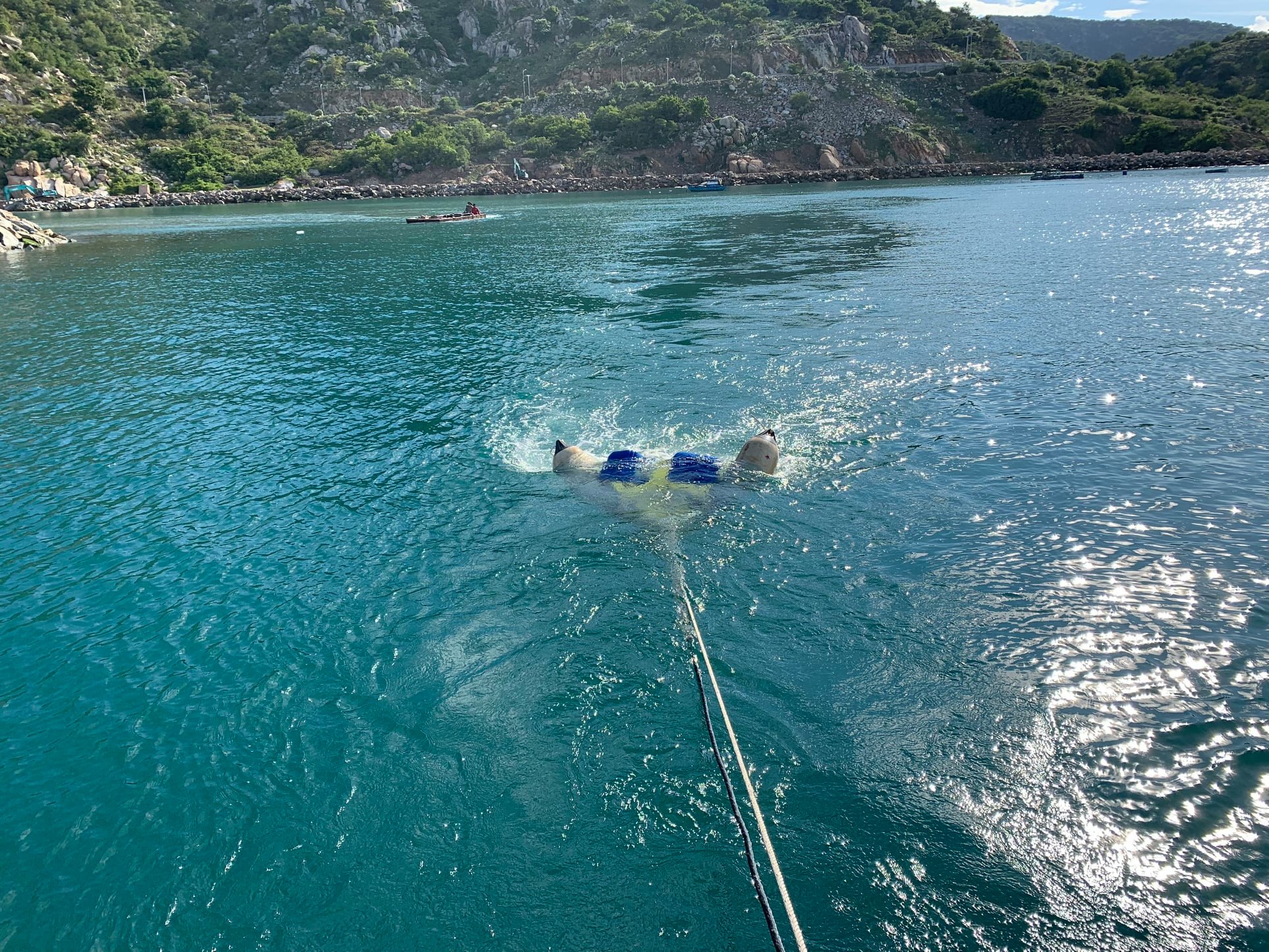 Sunday of the Portcoast family